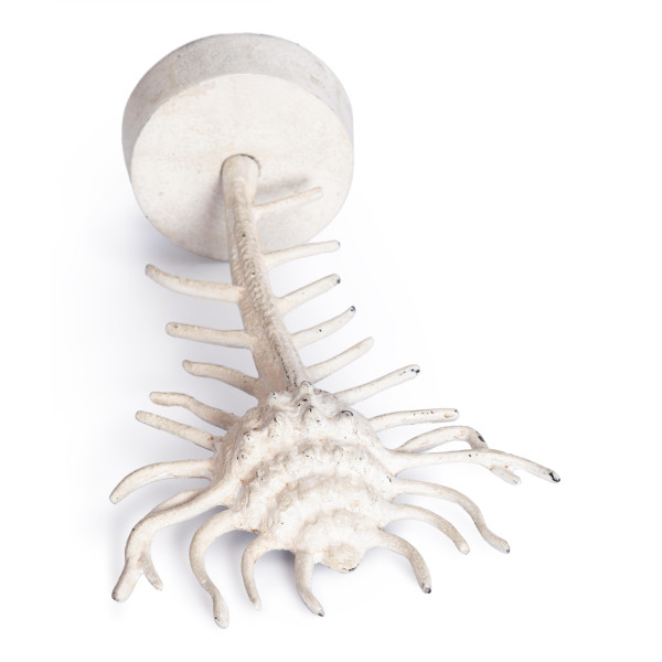 Декор Secret De Maison MARINE ( mod. 9764 ) алюминиевый сплав, 20,5x10x34,5 см, платина/antique plating фото № 5