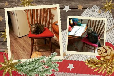 Стул обеденный 853 S (Дуб в красноту) в Санкт-Петербурге фото покупателя №1