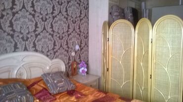 Ширма SN-0012 (Орех (Walnut)) в Санкт-Петербурге фото покупателя №1