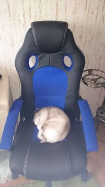 Кресло компьютерное «Рейсер» (Racer) (Искусственная черная кожа + синяя сетка) в Санкт-Петербурге фото покупателя №1