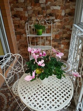 Кованый стол Secret De Maison «Патио» (Patio) (Серый) в Санкт-Петербурге фото покупателя №1