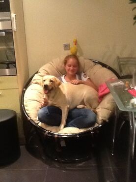 Кресло из ротанга «Папасан» (Papasan 23/01 Honey мёд) + Подушка (флок олива) в Санкт-Петербурге фото покупателя №5