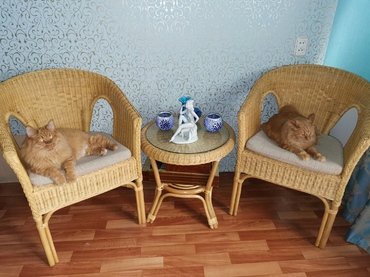 Стол из ротанга 02/08 (Мёд) в Санкт-Петербурге фото покупателя №1